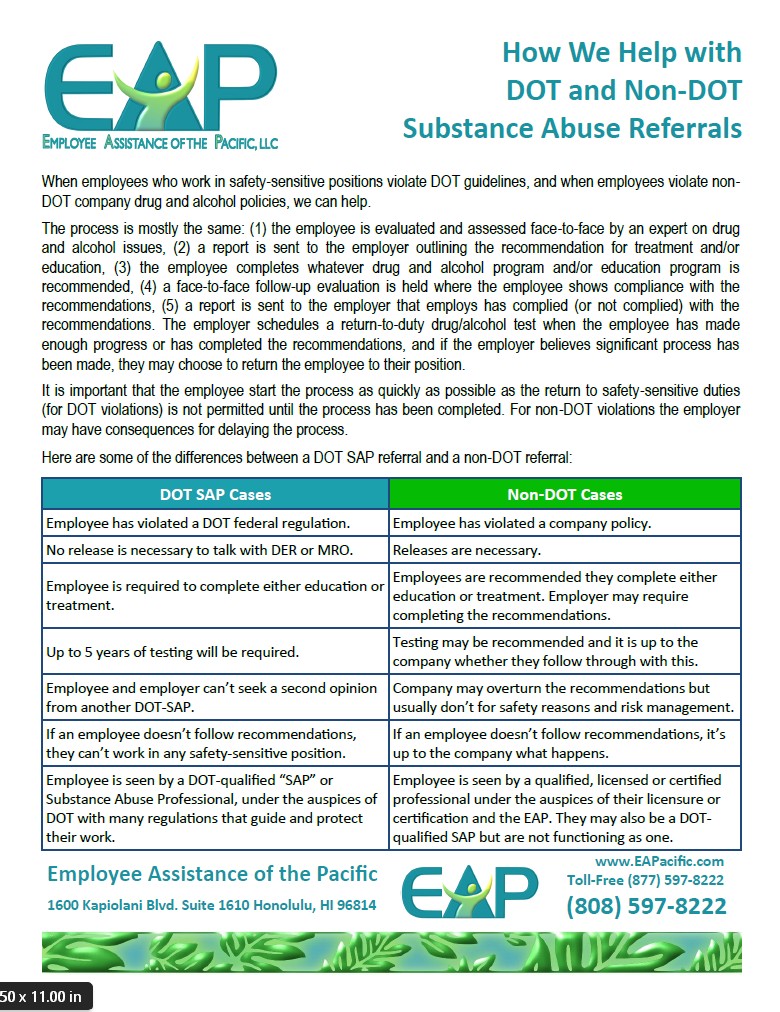 DOT and Non-DOT Services