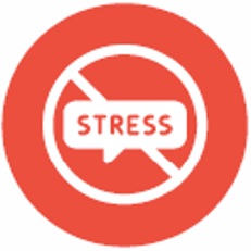 Stop Stress This Minute Course