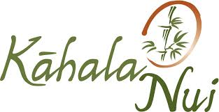 Logo-